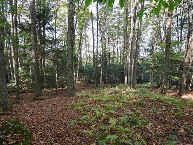 Land for sale in Plantsville, Vermont