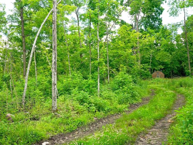 Land for sale in Wisconsin