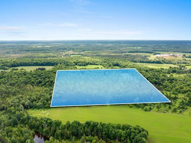 Land for sale in Mattoon, Wisconsin