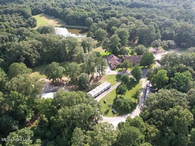 Land for sale in Woodville, Mississippi