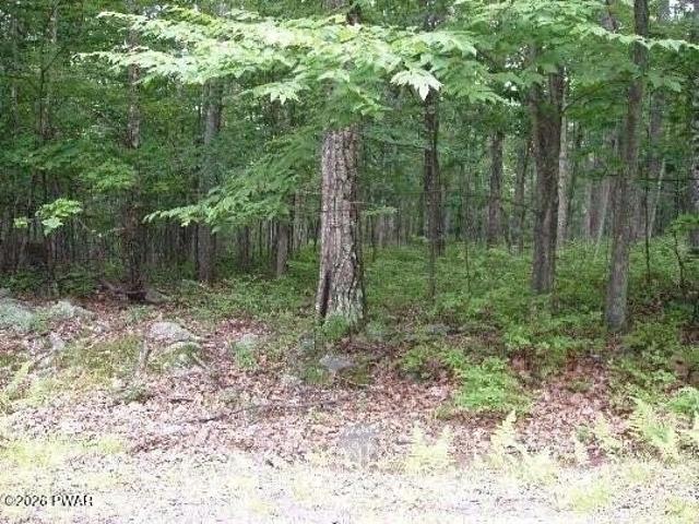 Land for sale in Hawley, Pennsylvania