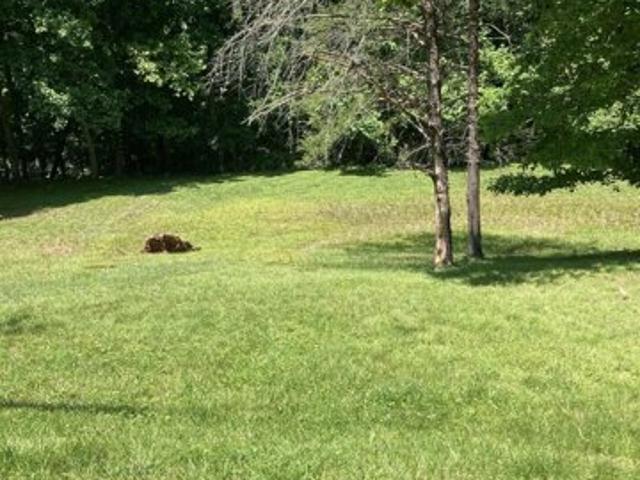 Land for sale in Huntington Land for sale in Huntington