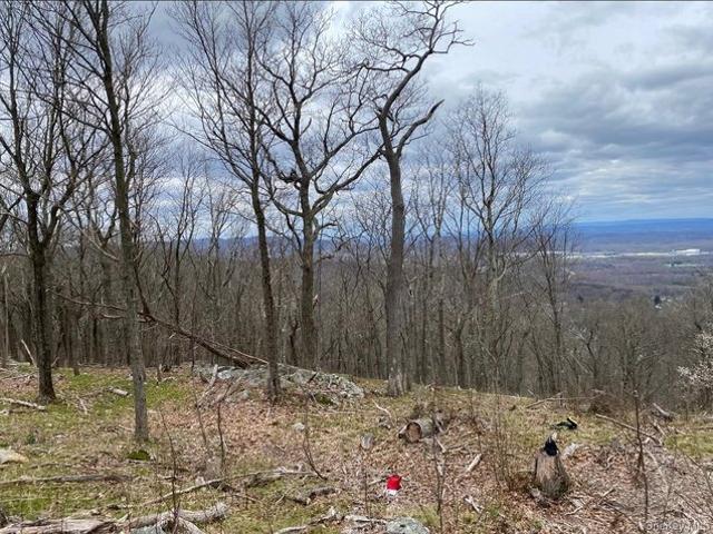 Land for sale in Holmes, New York