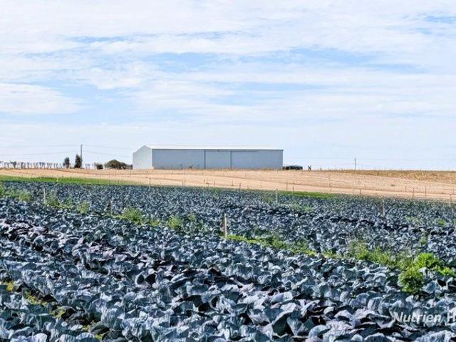 Acreage for sale in Woodridge, Western Australia