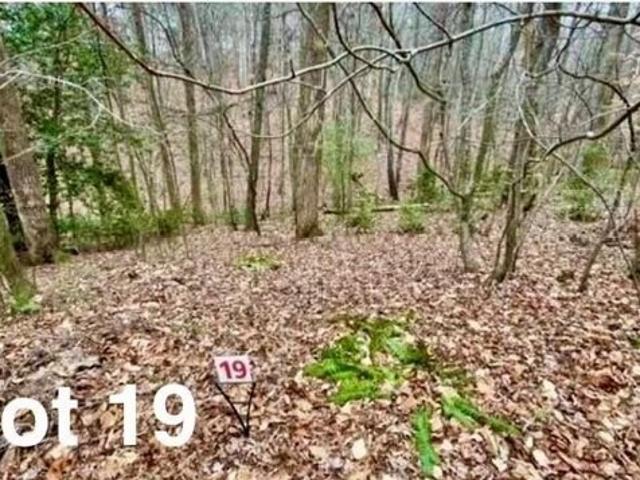 Land for sale in Virginia