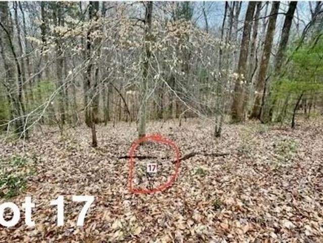 Land for sale in Virginia
