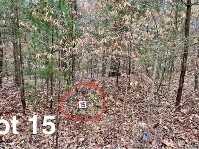 Land for sale in Virginia
