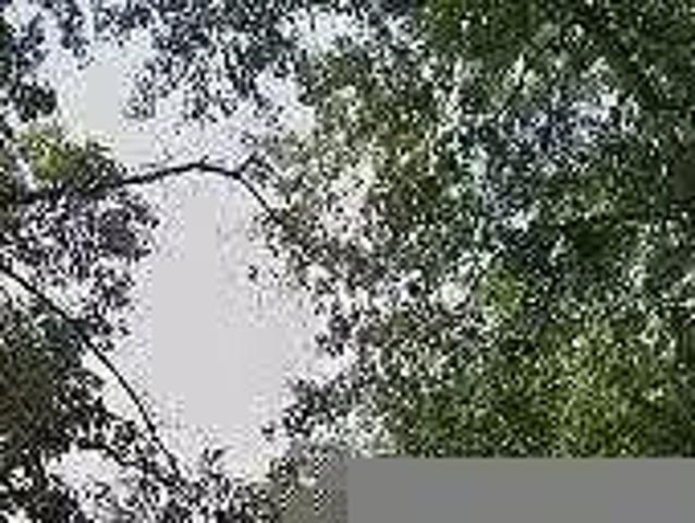 House for rent in Warner Robins