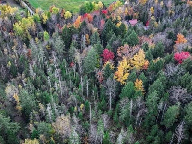 Land for sale in Warren, Vermont