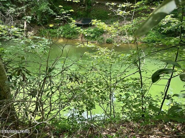 Land for sale in Woods Ridge, Dandridge