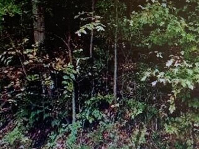 Land for sale in Binghamton Land for sale in Binghamton