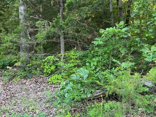 Land for sale in Gasconade, Missouri