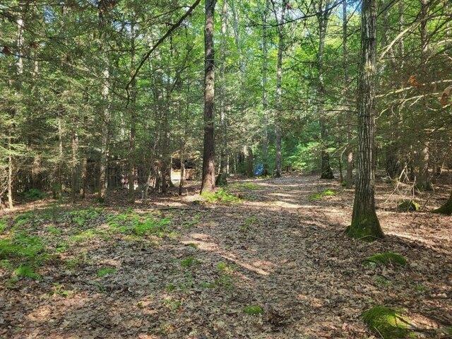 Land for sale in Woodstock, Northeastern Connecticut Planning Region