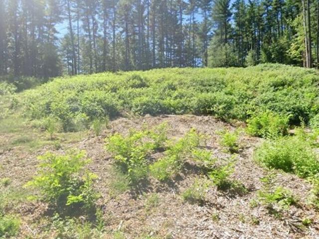 Land for sale in Ballston Lake