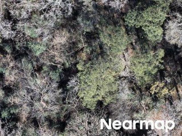 Land for sale in Macon, Georgia