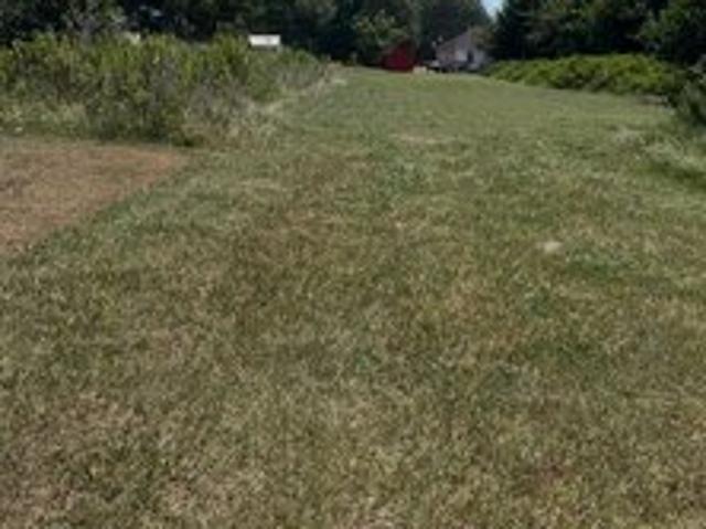 Land for sale in Vienna, Georgia