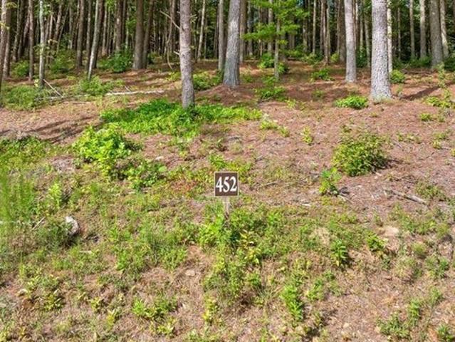 Land for sale in Pickens, Georgia