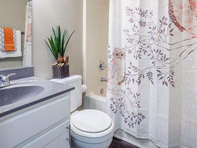 Apartment for rent in Aiken, South Carolina