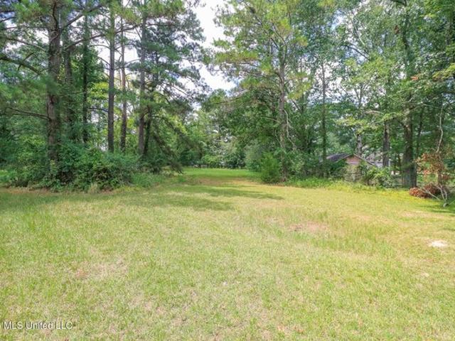 Land for sale in Brandon, Rankin County