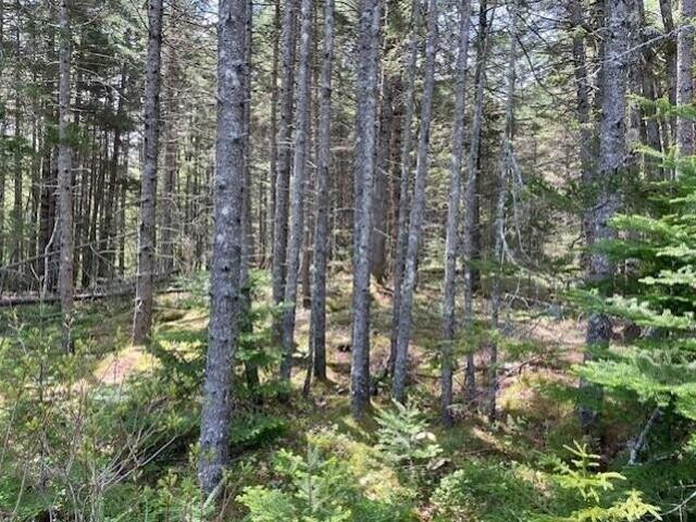 Land for sale in Cushing, Maine