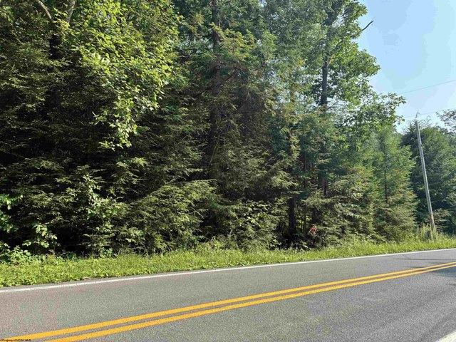 Land for sale in Albright, West Virginia