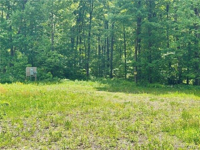Land for sale in Orwell, New York