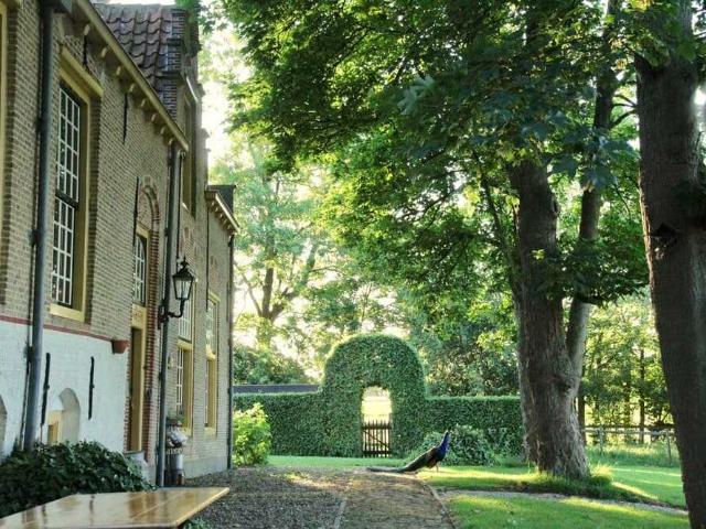 Eengezinswoning te huur in Vlaardingen