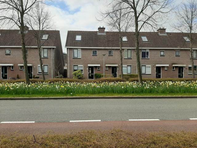 Woning te huur in Daalmeer-Koedijk, Alkmaar