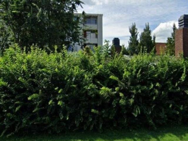 Woning te huur in Ossenkoppelerhoek, Almelo
