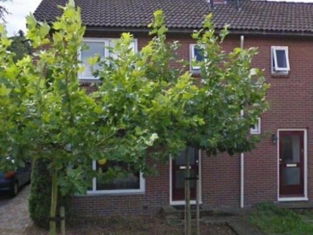 Woning te huur in Nieuw-buinen, Drenthe