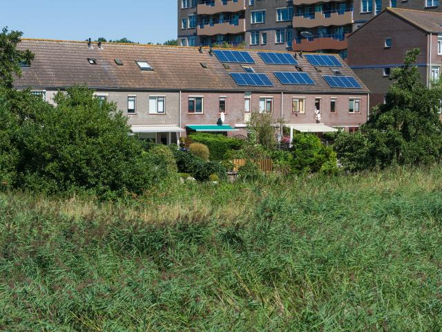 Woning te huur in Oostpoort, Haarlem