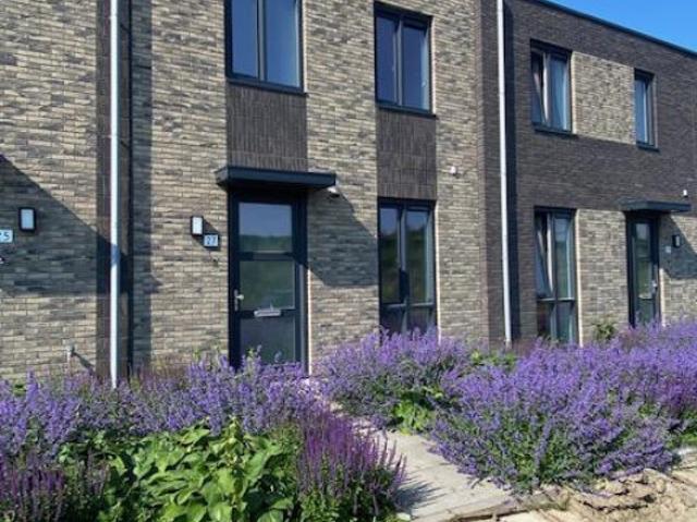 Woning te huur in Zeeland