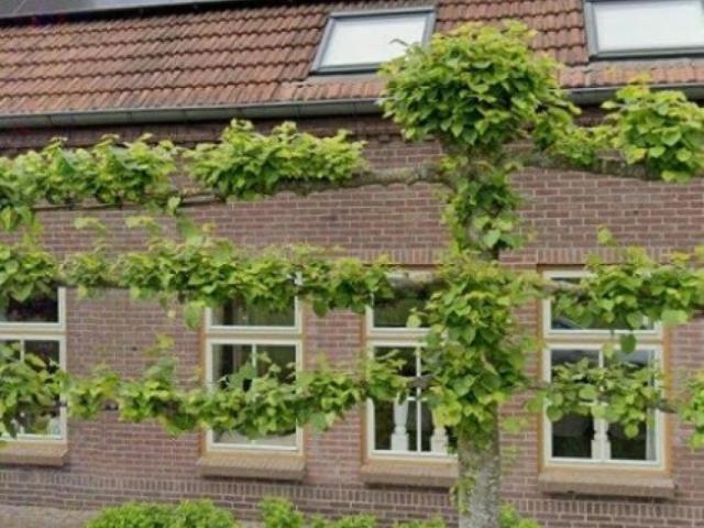 Woning te huur in Schijndel, Noord Brabant