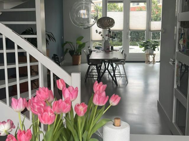 Woning te huur in Assendelft, Noord Holland