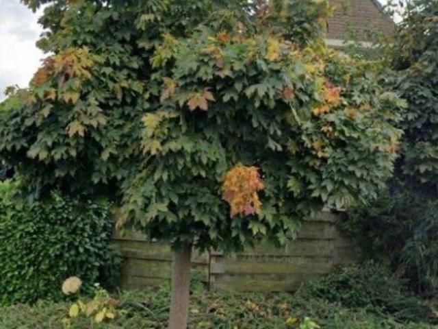 Woning te huur in Aalst, Gelderland