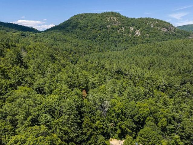 Land for sale in Jamaica, Vermont