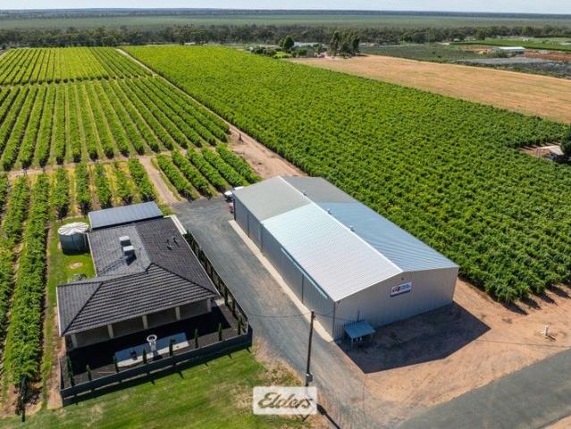 Cottage for sale in Gol Gol, New South Wales