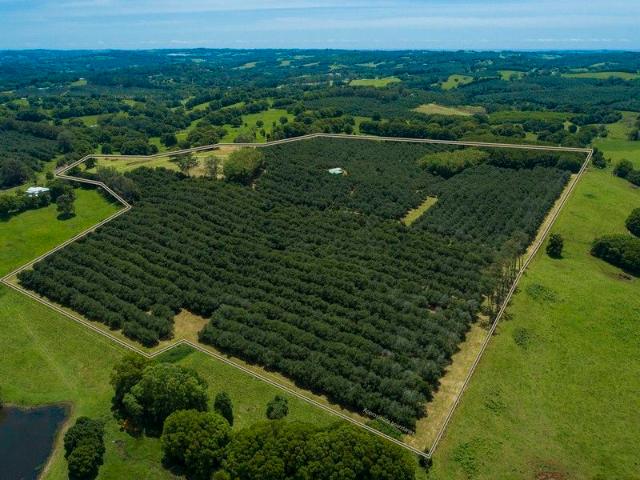 Cottage for sale in New South Wales