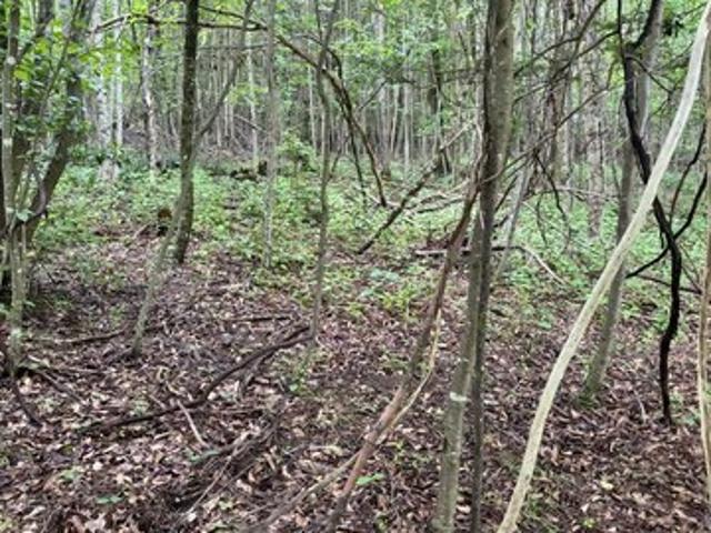Land for sale in West Virginia