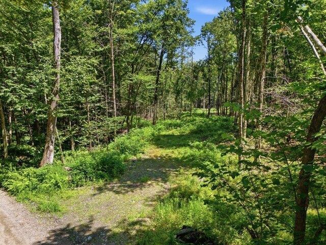 Land for sale in Worthington, Hampshire County