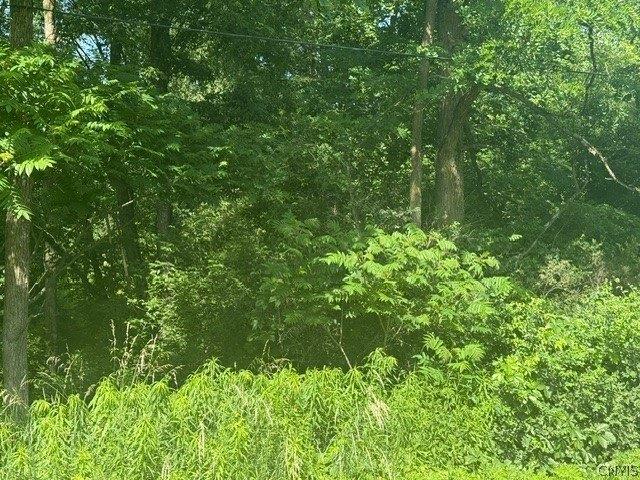 Land for sale in New York