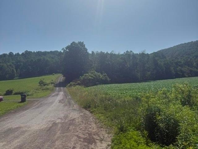 Land for sale in New York