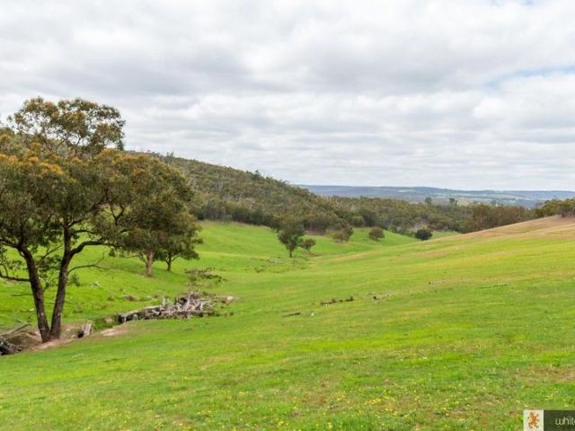 Land for sale in Camerons Creek, Victoria
