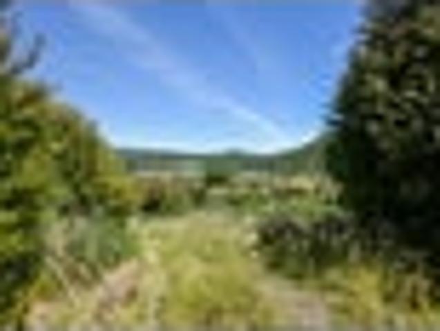 Land for sale in Koromiko, Marlborough