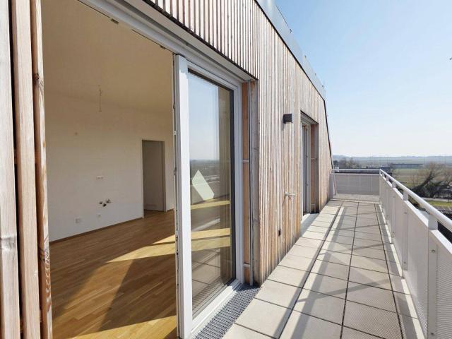 Apartment kaufen in Oberstockstall, Kirchberg am Wagram