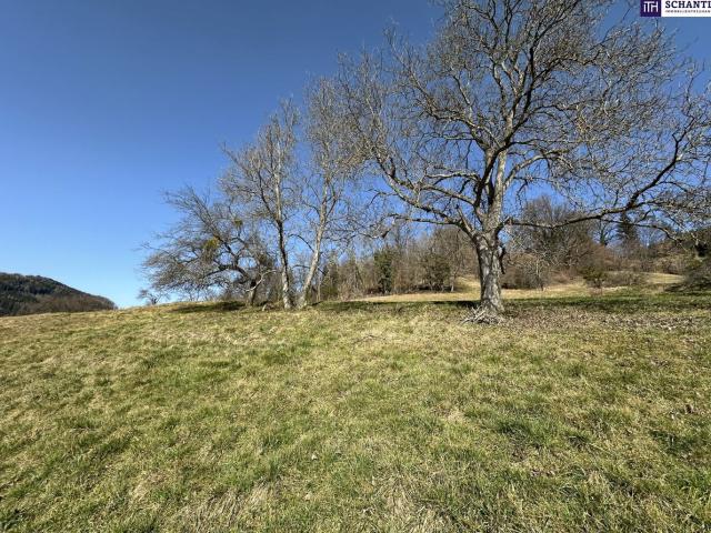 Grundstück kaufen in Deutschfeistritz, Steiermark