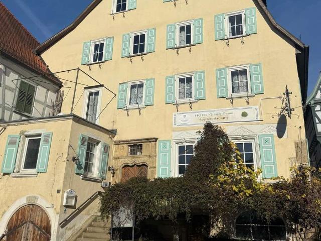 Gewerbe kaufen in Bad Wimpfen, Landkreis Heilbronn