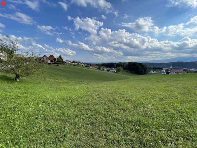 Immobilie kaufen in Hitzendorf, Steiermark