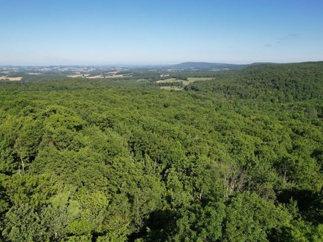 Land for sale in Ringtown, Pennsylvania