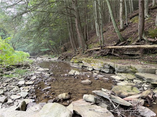Land for sale in Campbell, New York